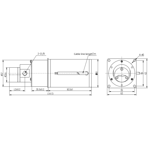 Bomba de micro engranaje de entrega de precisión de 0.3 ml/rev